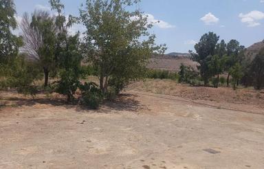 یک هکتار زمین کشاورزی با امکانات کامل