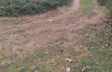 فروش زمین مسکونی 350 متر در وارد محله