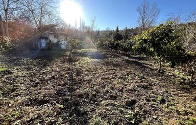 فروش 550 متر باغ در قائم شهر روستای وسطی کلا چسبیده به بافت