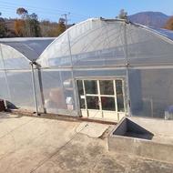 رهن و اجاره گلخانه هیدروپونیک