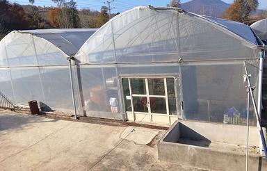 رهن و اجاره گلخانه هیدروپونیک