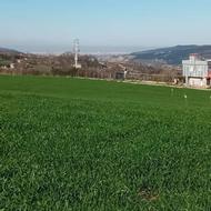 یک هکتار زمین در روستای امره 15 کیلومتری ساری