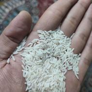 برنج‌ طارم اعلا مازندران