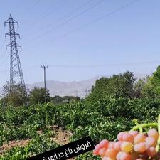 باغ مناسب سرمایه گذاری