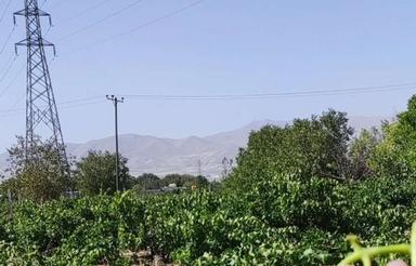 باغ مناسب سرمایه گذاری