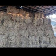 کاه وکلش خشک درجه یک