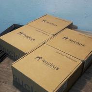 اکسس پوینت راکاس مدل ZoneFlex R500