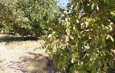 فروش یا معاوضه