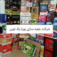 کارتون سازی