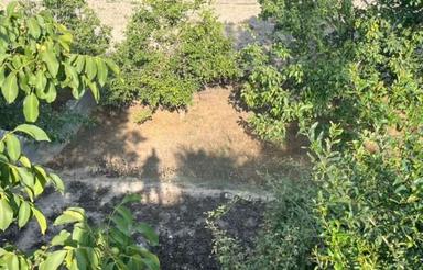 400متر زمین با ویو ابدی سوادکوه