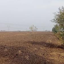 زمین کشاورزی برای فروش