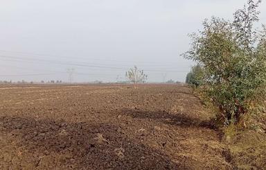 زمین کشاورزی برای فروش