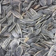 تخمه شب یلدای و رژیمی