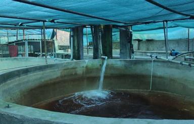 مزرعه پرورش ماهی با تمام امکانات فول و 3واحد آپارتمان و ویلا