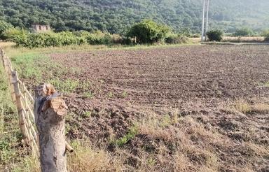 زمین در جاده قدیم گلوگاه