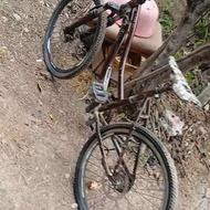 دوچرخه 24 در حد