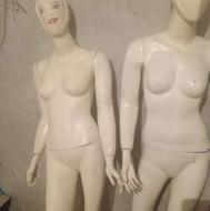 دوعدد مایکن ایستاده