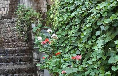 87 متر زمین با 370 متر مجوز ساخت در 4 طبقه