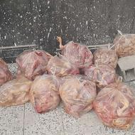 خریدارمرغ تلفاتی هستم شکم خالی تازه هر هفته600کیلو