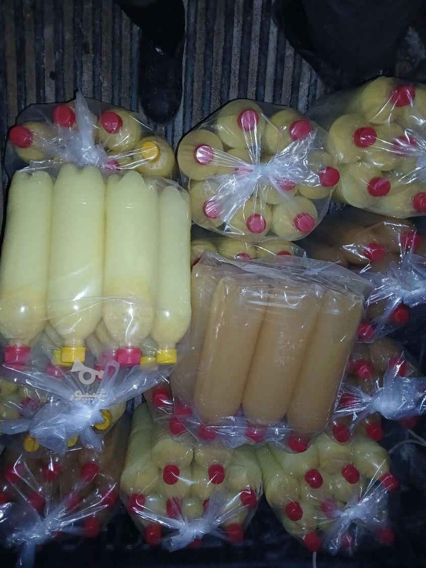 آبغوره اب نارنج وسرکه سیب و انگور وسرکه وسرکه چغندر