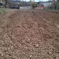 فروش زمین خانه سرا البته با تقریبا سی تا نهال میوه های مخت