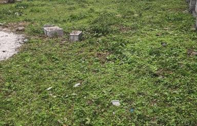 فروش فوری زمین مسکونی