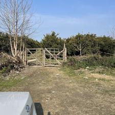 دوهزارمترمربع باغ مرکبات پرتغال