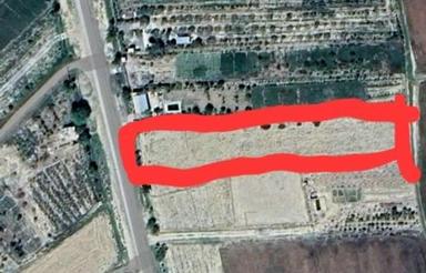 زمین باغی حاشیه جاده