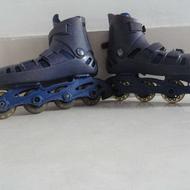 اسکیت حرفه ای چمپیون کاپ کره