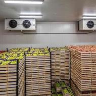 تعمیرات سردخانه زیر صفر و بالای صفر