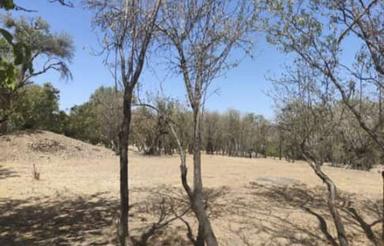 زمین کشاورزی