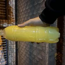 آب نارنج طبیعی اصل مازندران قائمشهر