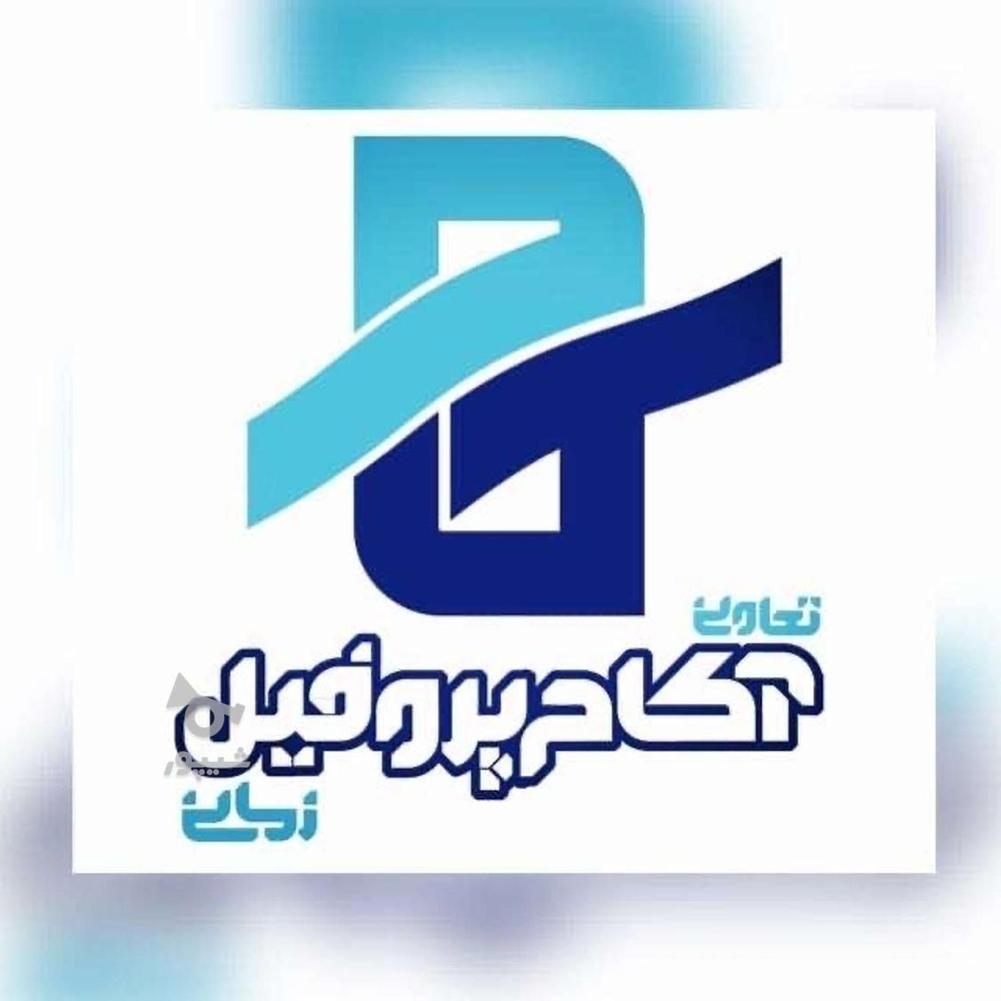 استخدام نیروی حراست - رسول