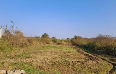 250 متر زمین سه بر واقع در امین آباد تنکابن