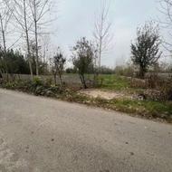 فروش زمین مسکونی 1513 متر در کورکا