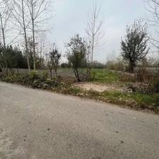 فروش زمین مسکونی 1513 متر در کورکا