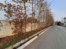 فروش زمین دونبش داخل بافت 500 متر در شهرک صفاییه در شیپور