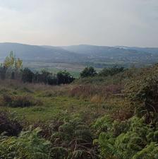 فروش زمین ویلایی 400 متر در خان عباسی