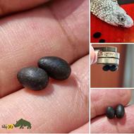 مهره و انگشتر نقره و.... ارسال سرتاسر ایران داریم