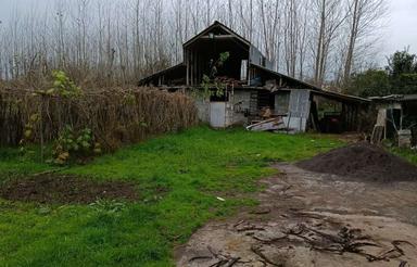 اجاره گاوداری یا انبار