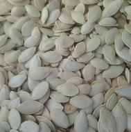 تخمه کدو امسال