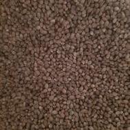 شاهدانه درشت خوراکی