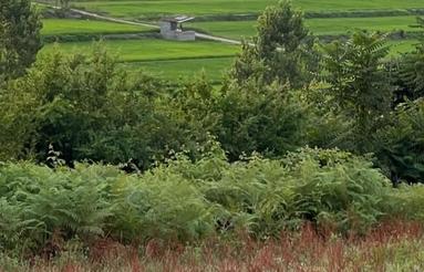 215 متر زمین مسکونی با چشم انداز بینظیر در شهر و کلاا