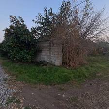 فروش زمین مسکونی 215 متر در هلی باغ