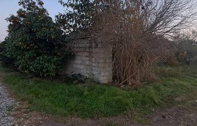 فروش زمین مسکونی 215 متر در هلی باغ