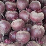 چغندر گاوی .