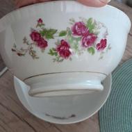 دو عدد کاسه بزرگ گل سرخی