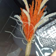 گل طبیعی پامپاس