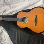 گیتار به همراه کیف