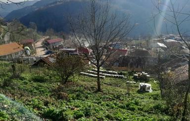 فروش زمین مسکونی 900 متر در دودانگه